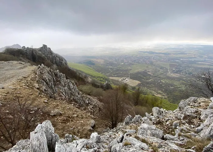 Mazsola