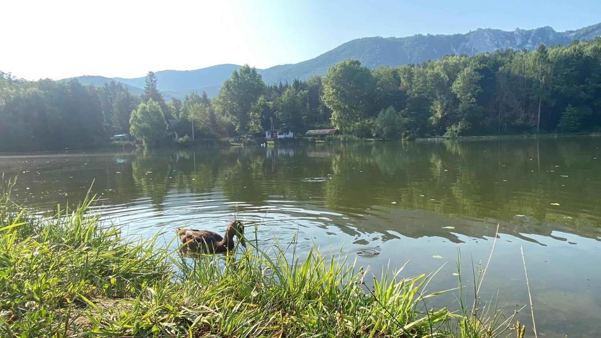 Mazsola Apartament *